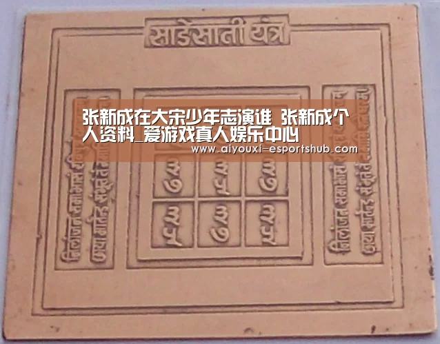 张新成在大宋少年志演谁 张新成个人资料_爱游戏真人娱乐中心(图3) 爱游戏真人娱乐中心