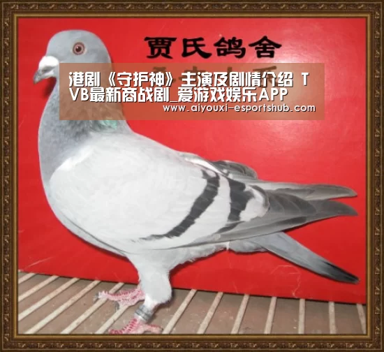 港剧《守护神》主演及剧情介绍 TVB最新商战剧_爱游戏娱乐A