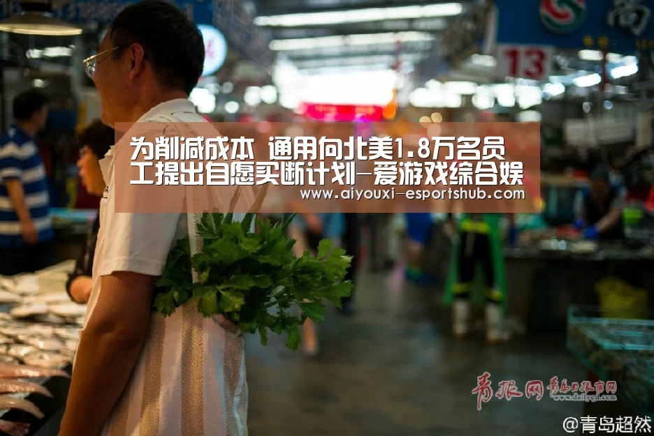 为削减成本 通用向北美1.8万名员工提出自愿买断计划-爱游戏