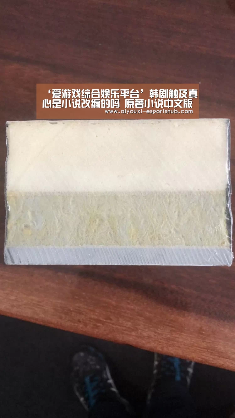 ‘爱游戏综合娱乐平台’韩剧触及真心是小说改编的吗 原著小说中