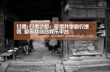 甘肃:甘肃武都:多措并举助农增收_爱游戏综合娱乐平台(图3) 爱游戏娱乐APP