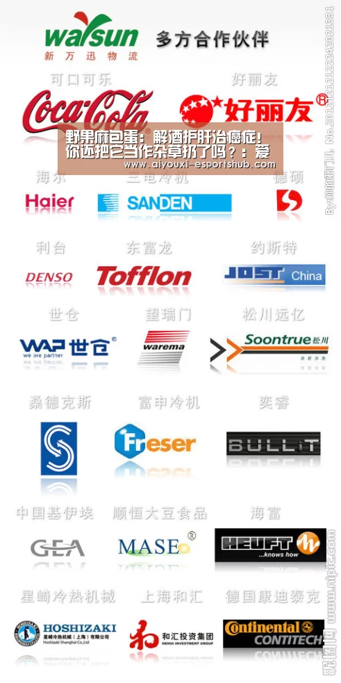 爱游戏娱乐APP