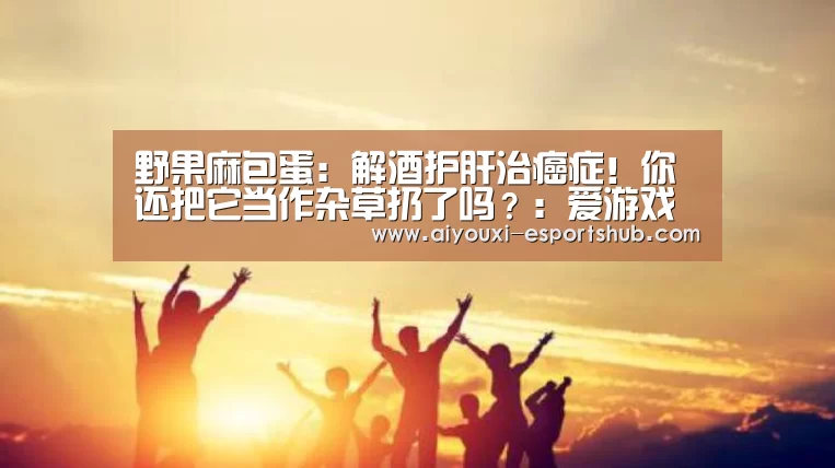 爱游戏娱乐APP